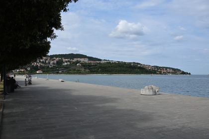 DSC_5172.JPG