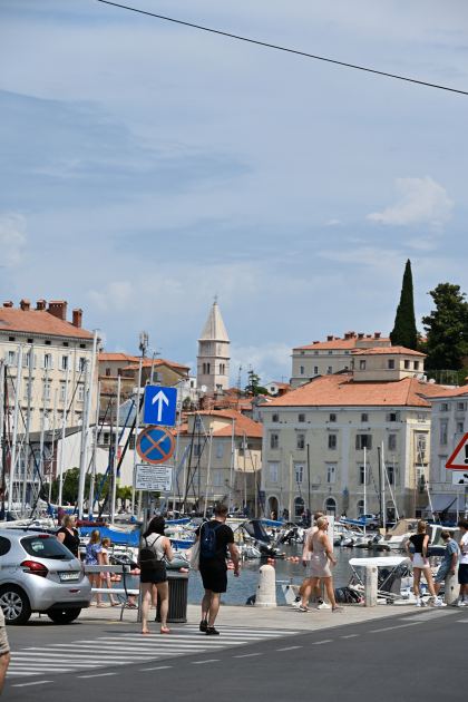 DSC_5224.JPG