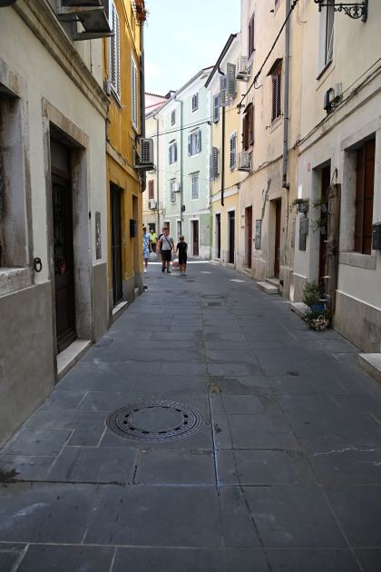 DSC_5226.JPG