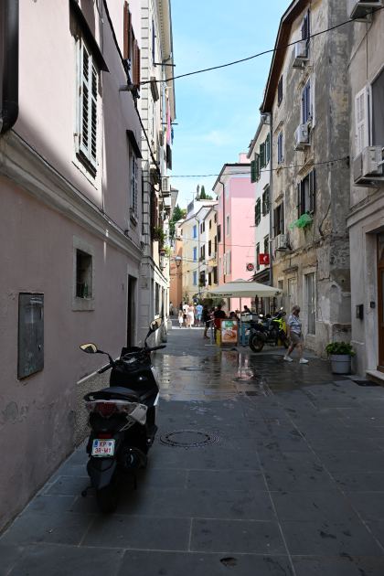 DSC_5228.JPG