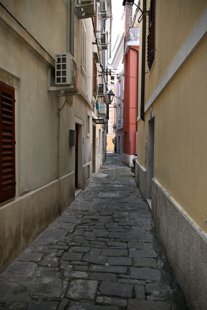 DSC_5246.JPG