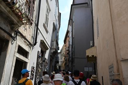 DSC_5270.JPG