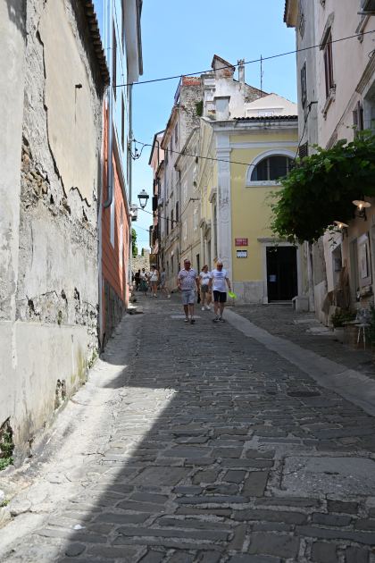DSC_5273.JPG