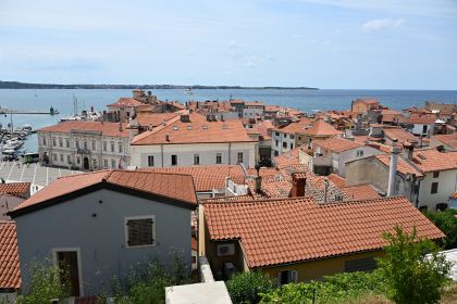 DSC_5297.JPG