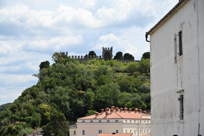 DSC_5306.JPG