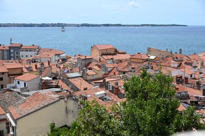 DSC_5310.JPG