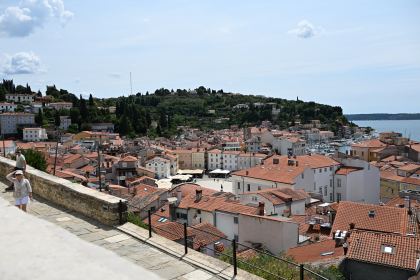DSC_5312.JPG