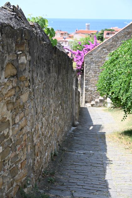DSC_5316.JPG
