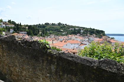 DSC_5318.JPG