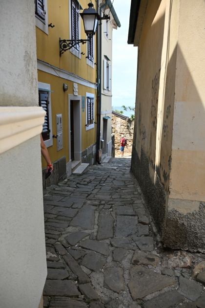 DSC_5325.JPG