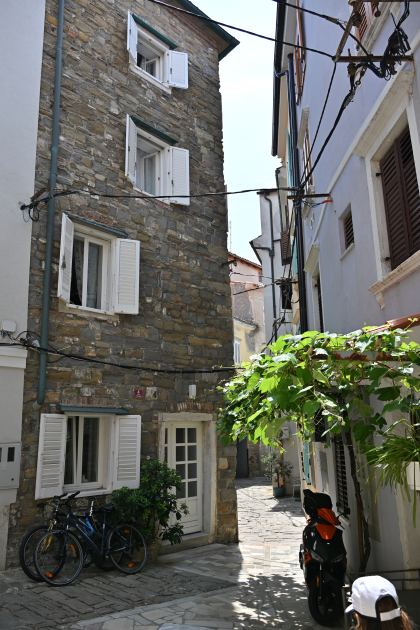 DSC_5326.JPG