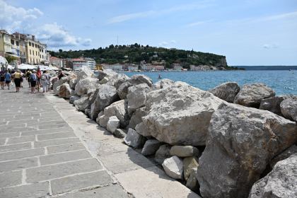 DSC_5339.JPG