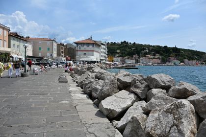 DSC_5360.JPG