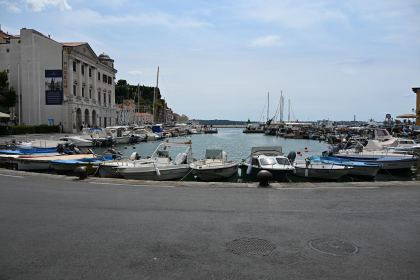 DSC_5365.JPG