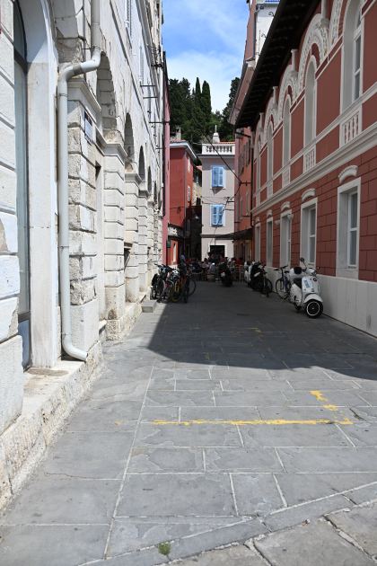 DSC_5368.JPG