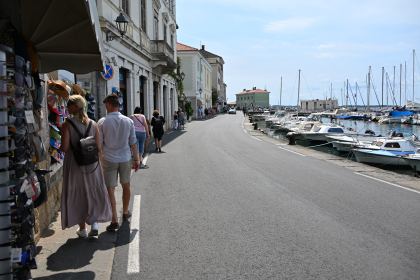 DSC_5370.JPG