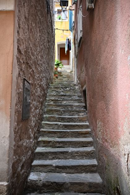 DSC_5373.JPG