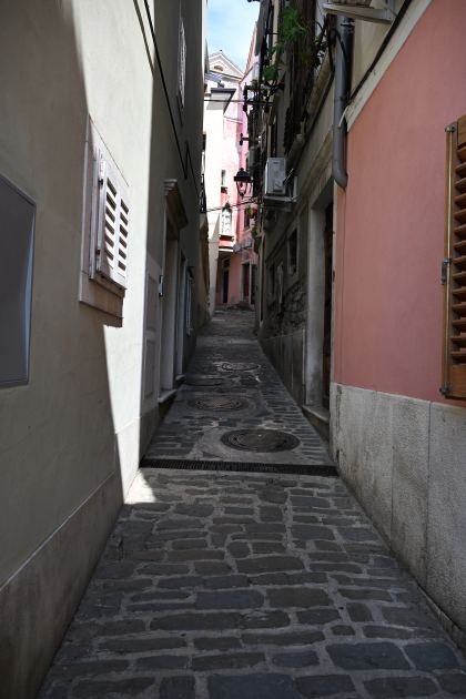 DSC_5374.JPG