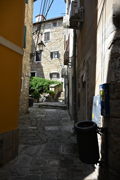 DSC_5376.JPG