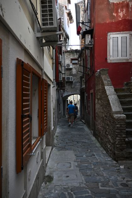 DSC_5377.JPG