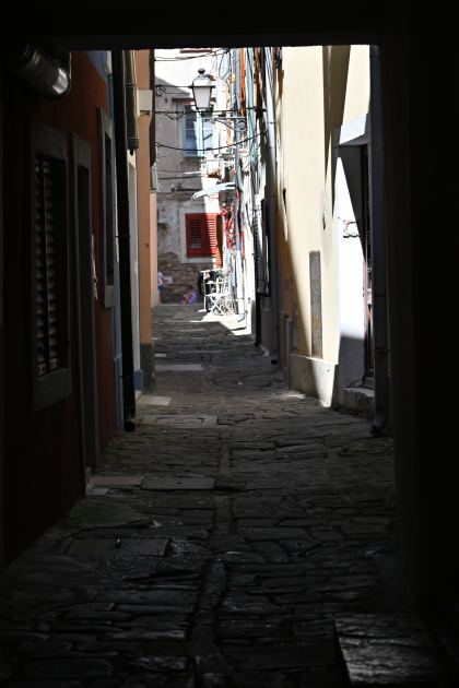 DSC_5379.JPG