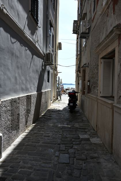 DSC_5380.JPG