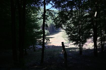 DSC_5421.JPG