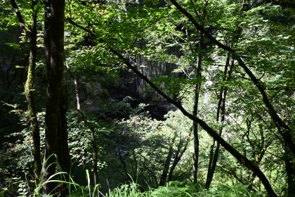 DSC_5444.JPG
