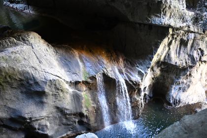 DSC_5447.JPG