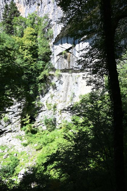 DSC_5459.JPG