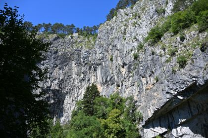 DSC_5463.JPG