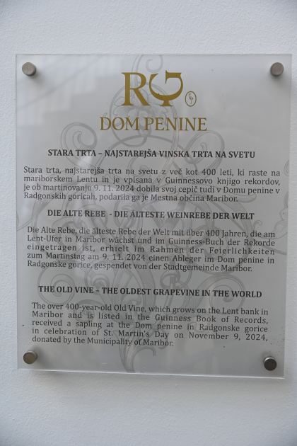 DSC_5484.JPG