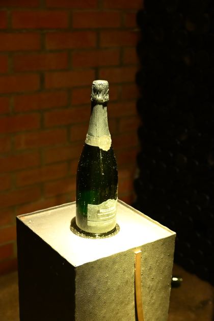 DSC_5491.JPG