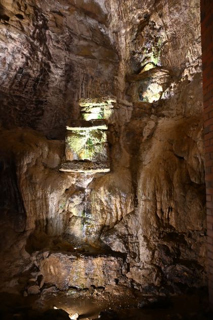 DSC_5496.JPG