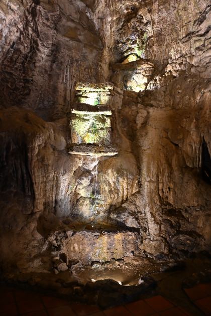 DSC_5501.JPG