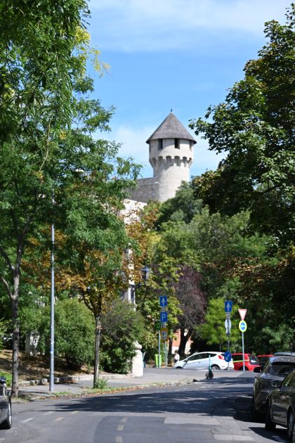 DSC_5569.JPG