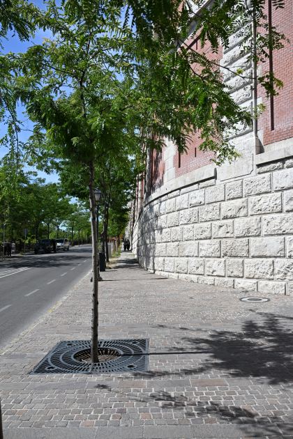 DSC_5575.JPG