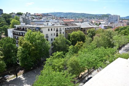 DSC_5585.JPG