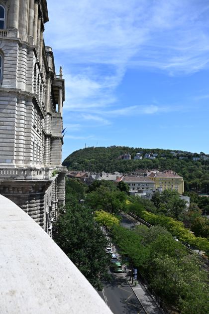 DSC_5595.JPG