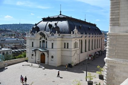 DSC_5604.JPG
