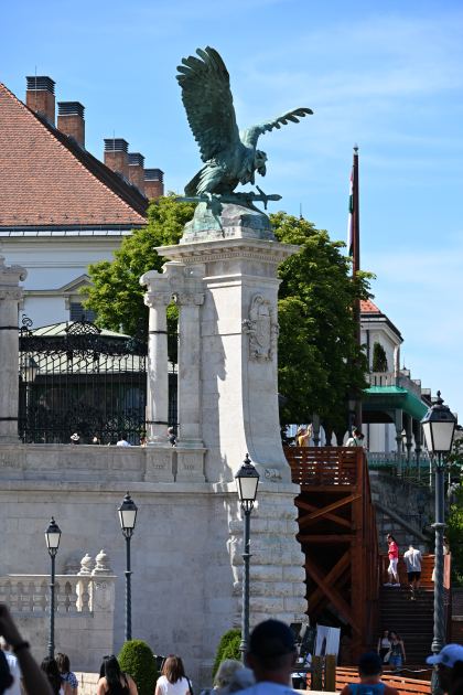 DSC_5682.JPG