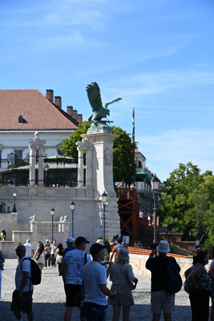 DSC_5683.JPG