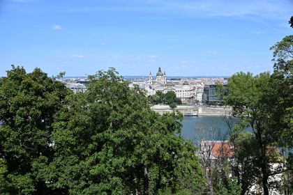 DSC_5686.JPG