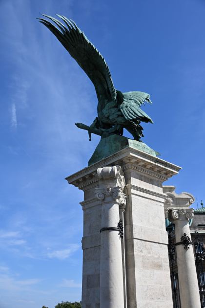DSC_5717.JPG