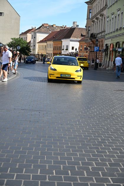 DSC_5812.JPG