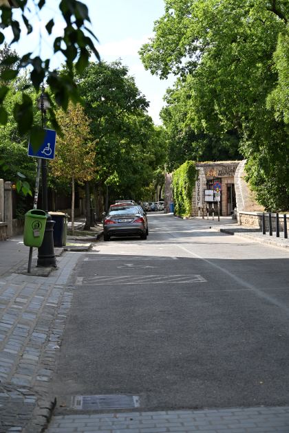 DSC_5850.JPG
