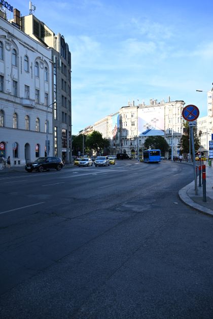 DSC_5927.JPG