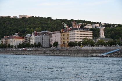 DSC_5965.JPG