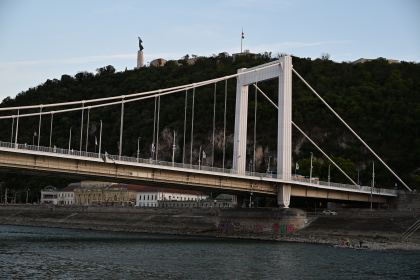 DSC_5971.JPG