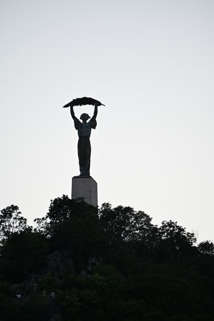 DSC_5975.JPG